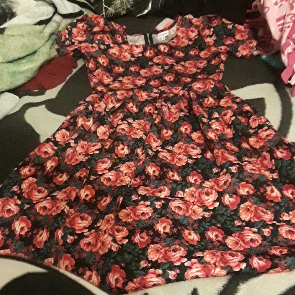 Lularoe rose printed ameila dress